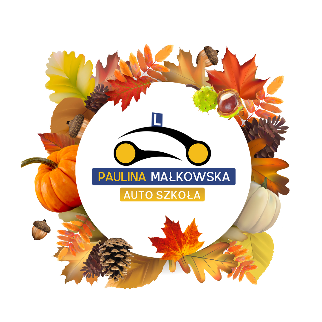 autoszkolapaulinamalkowska-logo-sezonowe-3